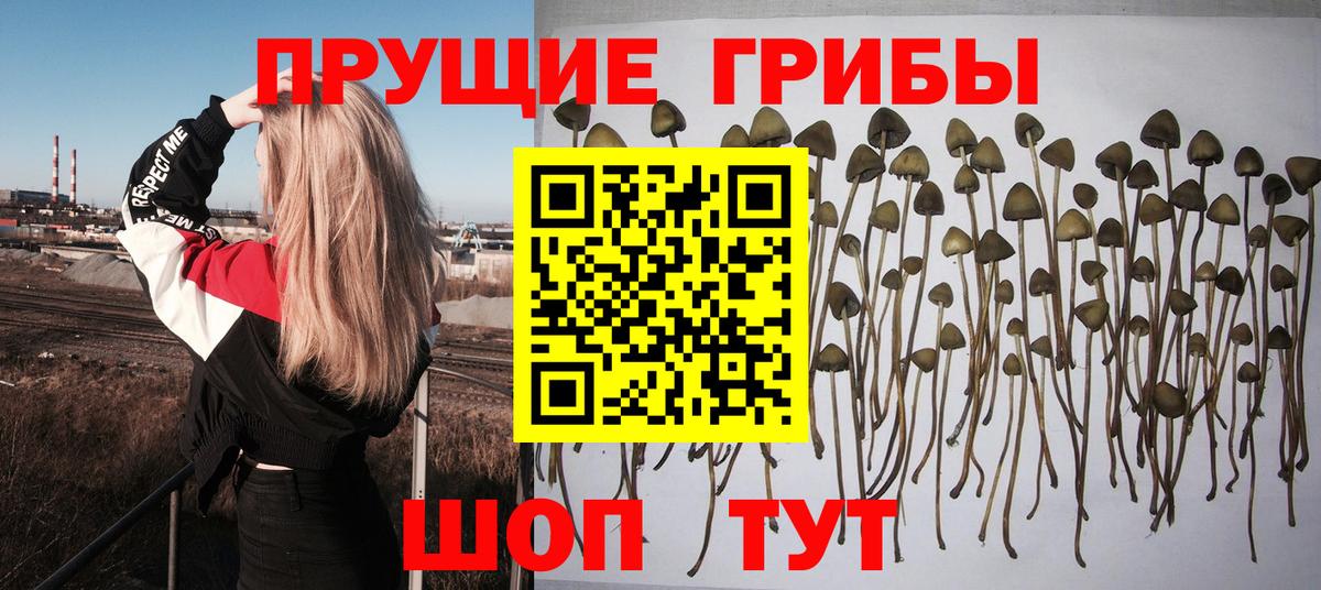 Галлюциногенные грибы Magic Shrooms Карталы